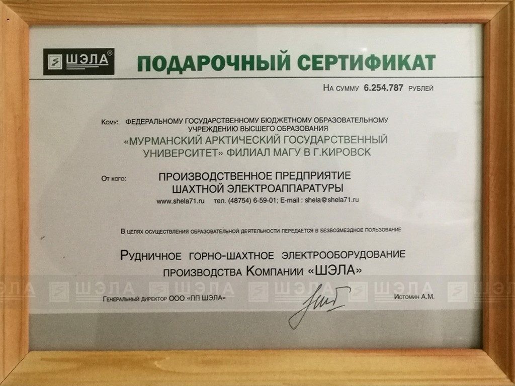 подарочный сертификат ШЭЛА